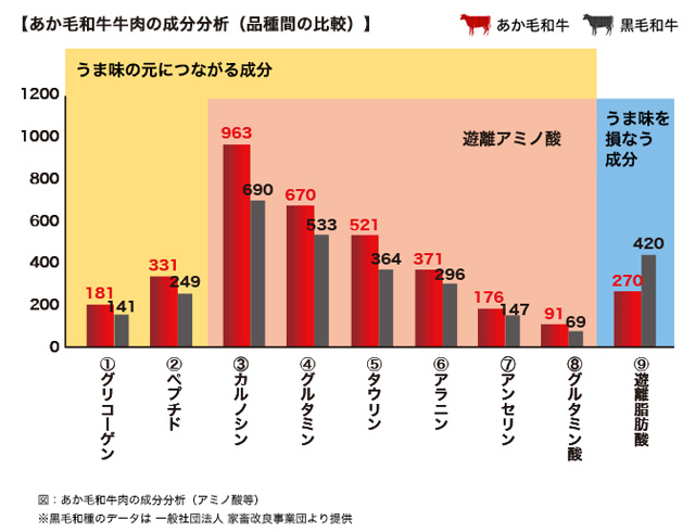 成分