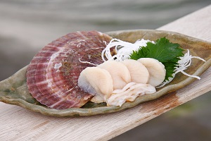藤田