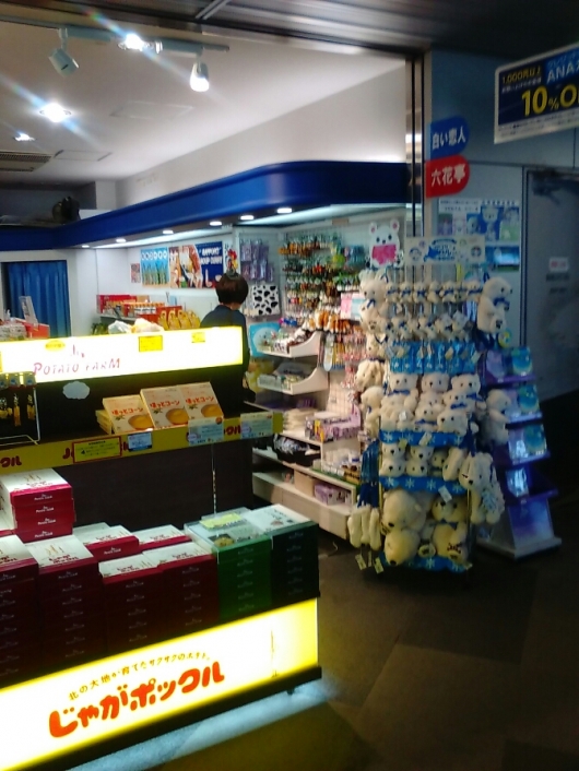 千歳空港A