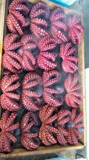 煮タコ