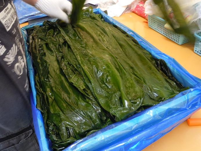 鵜の助