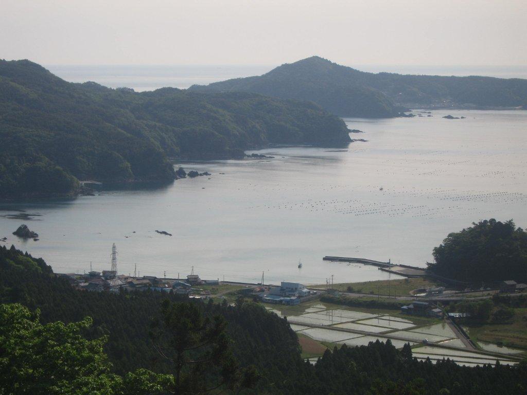 牡鹿半島鮫ノ浦湾