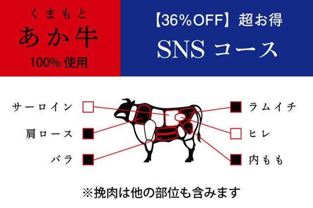 超お得・SNSコース【先着29名限定】