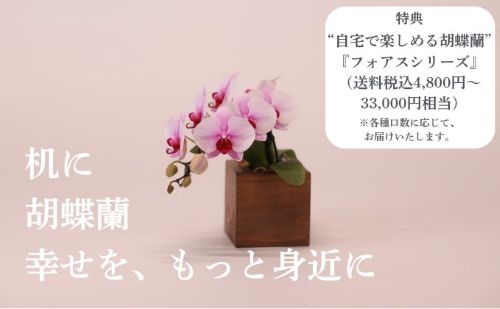 花の終わった胡蝶蘭の無料回収サービス「フォアスゼロ」を開始しました。