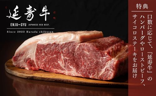 熊本　あか牛「延寿牛」ファンド2026