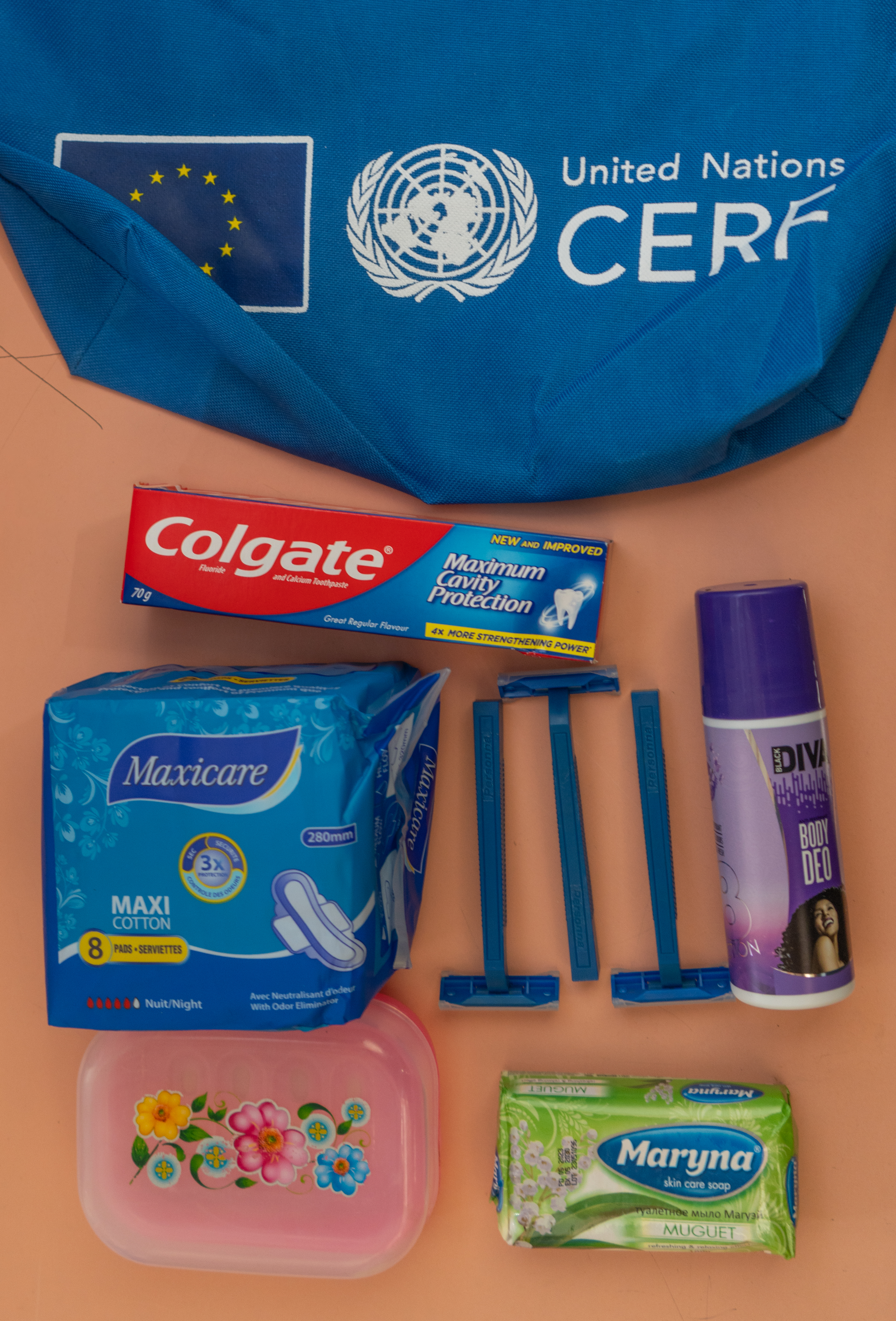 国際移住機関（国連IOM）支援寄付